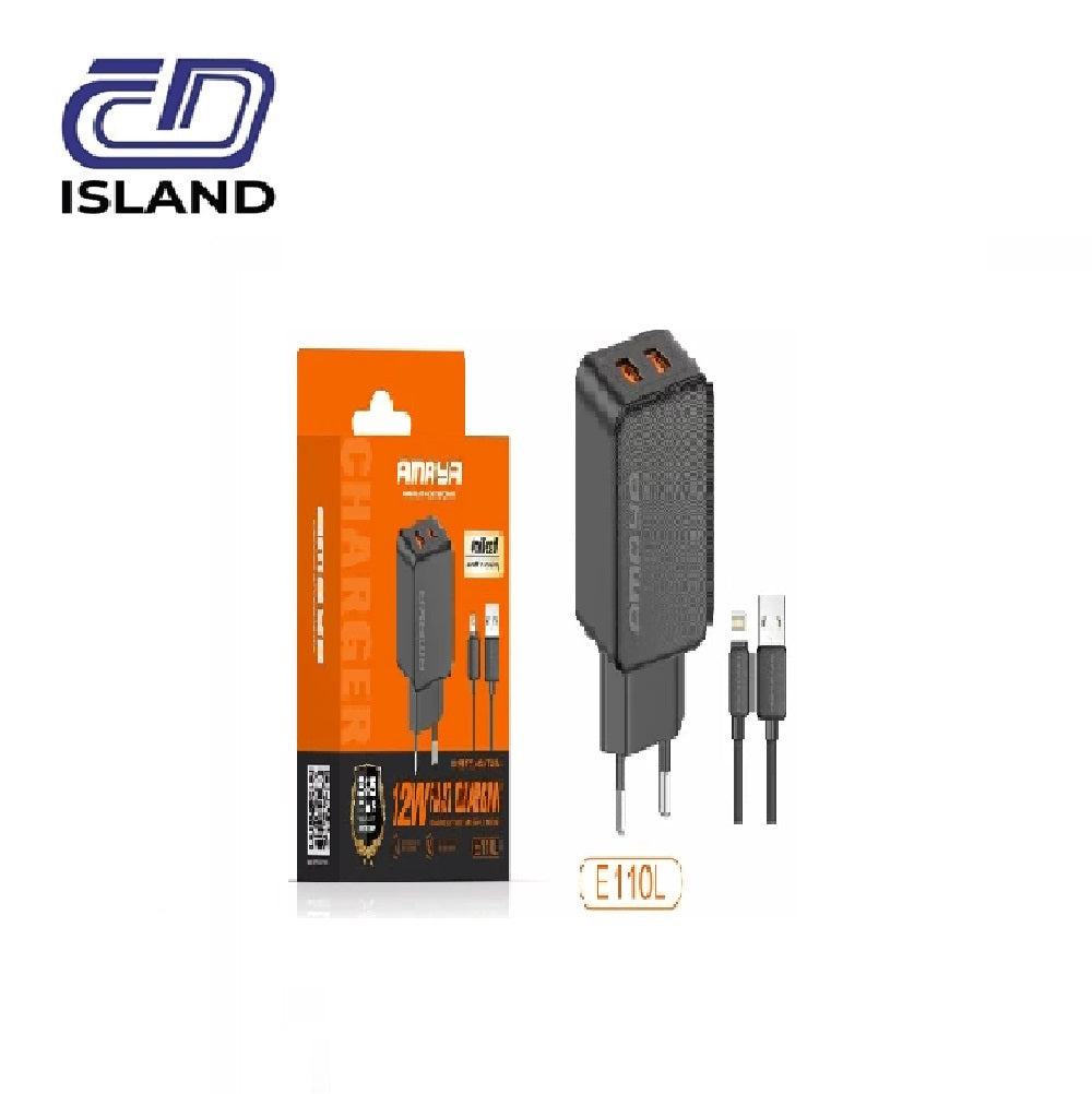 CHG AMAYA 12W 2PORT ACW E110L