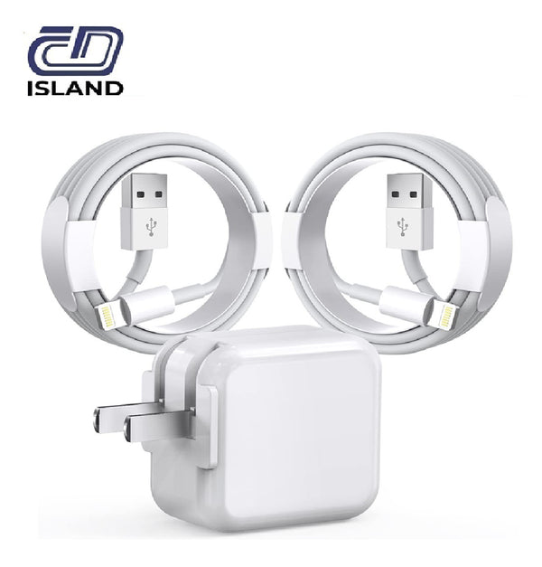 CHG IPAD 12W