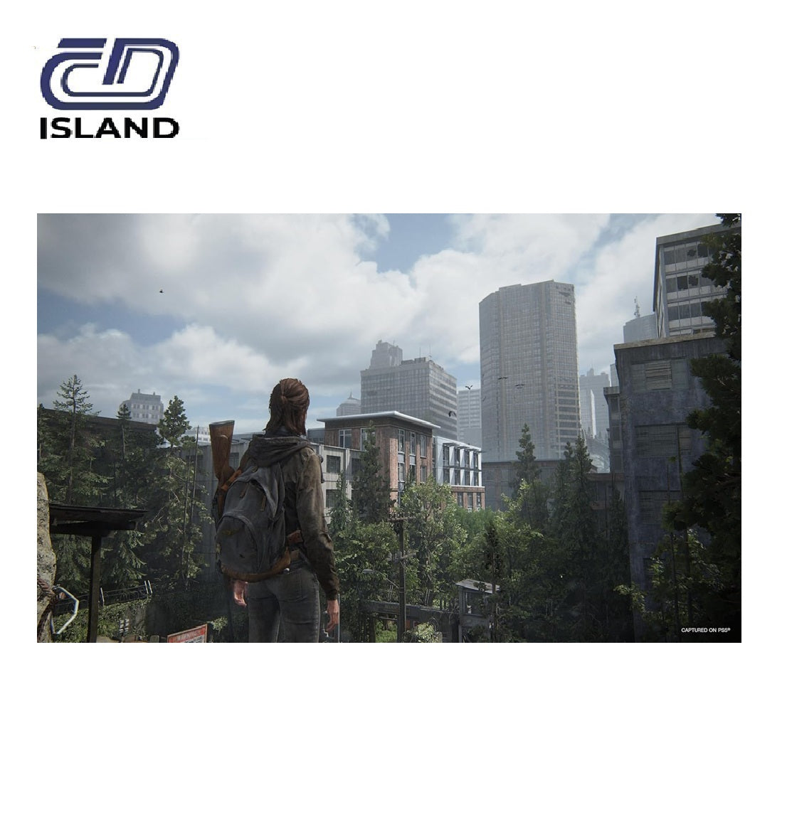 Product_Image