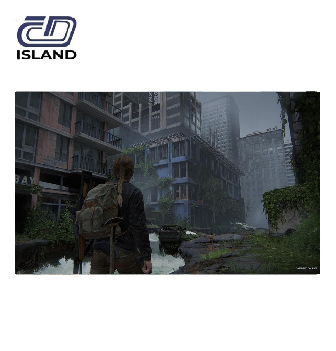 Product_Image