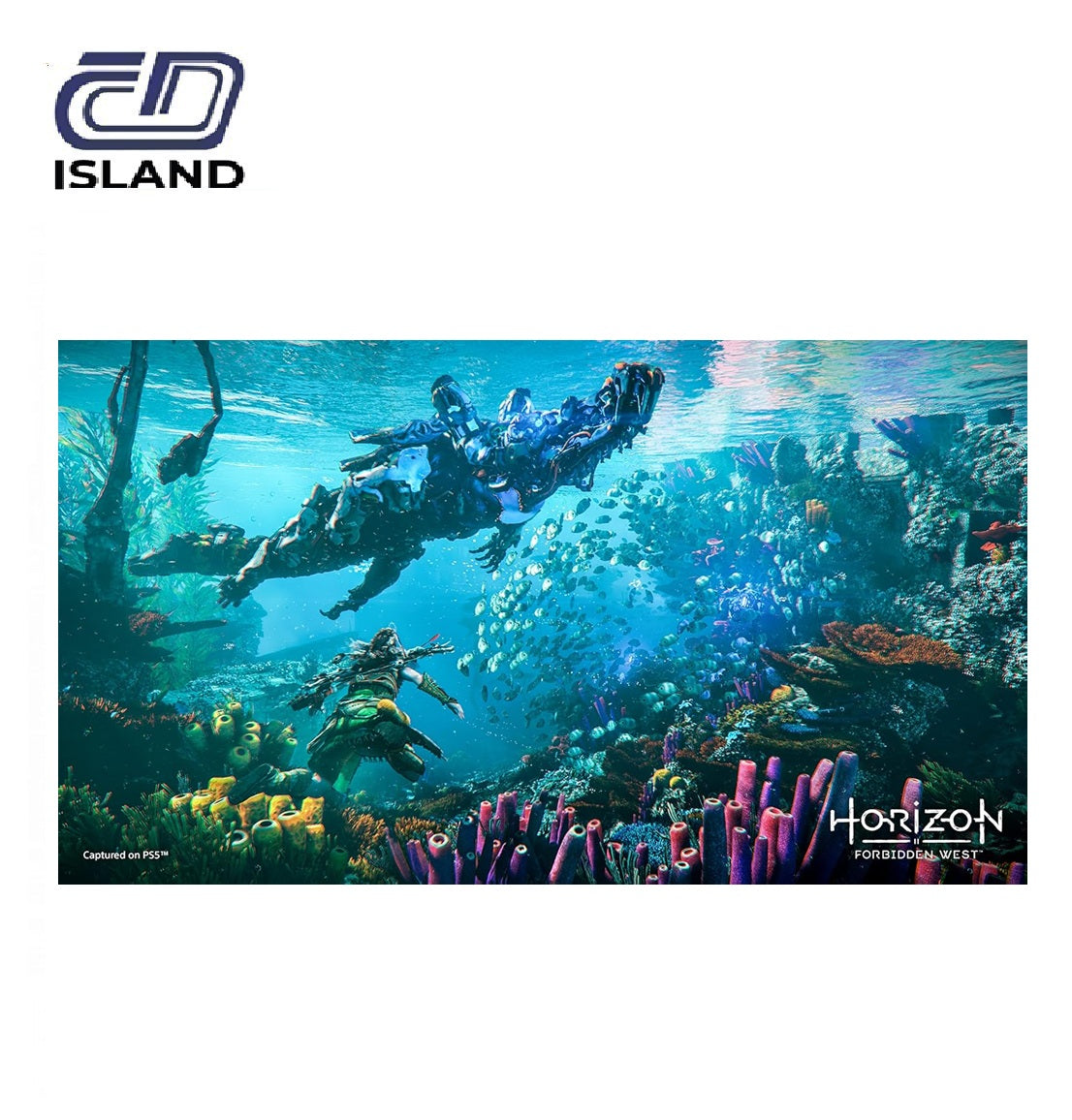 Product_Image