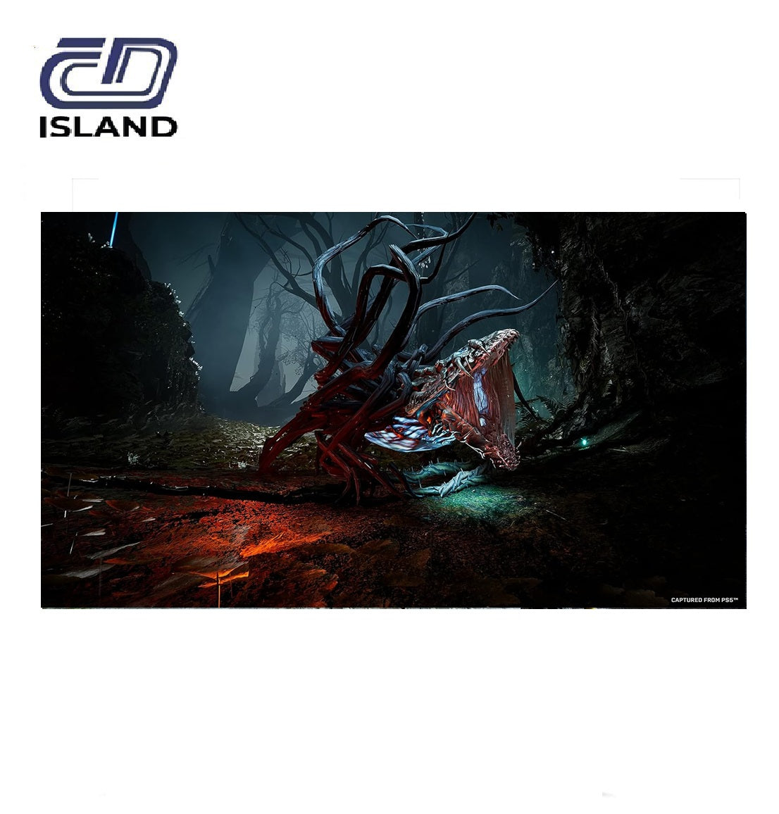 Product_Image